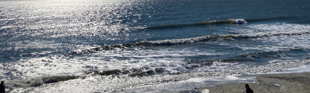 User banner image