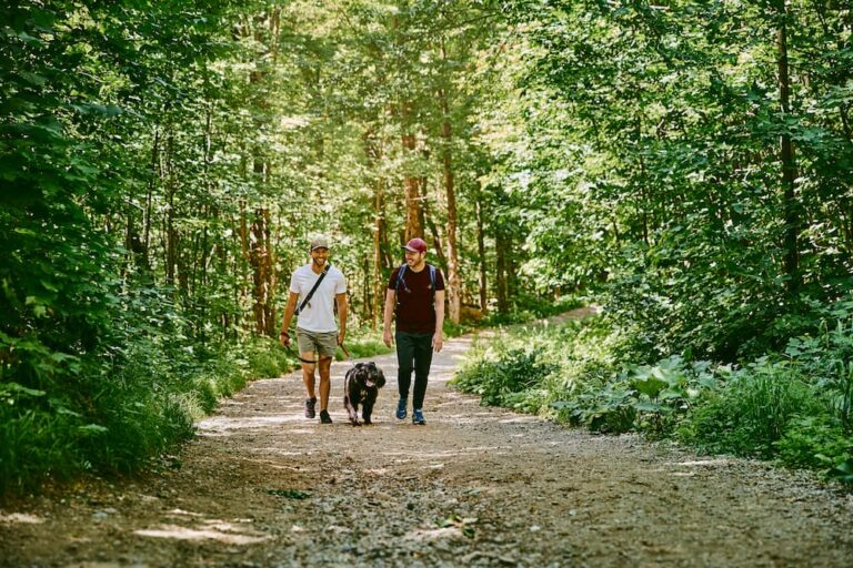 LD @Myriam Baril Tessier Parc de la Gatineau 2 768x512