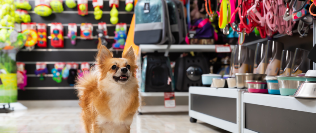 pet supply retail feature image 1136x480 1 1024x433