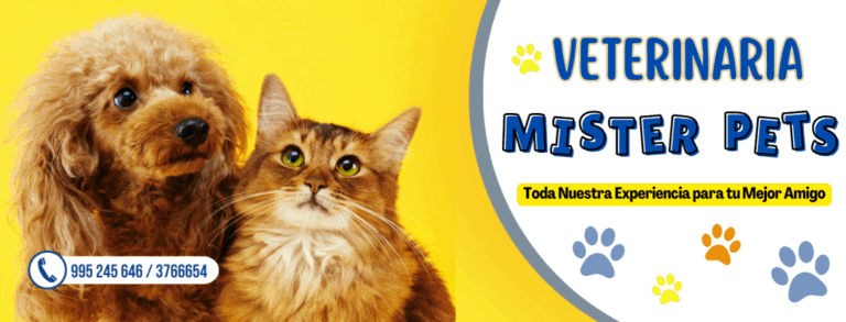 portada Veterinaria Mister Pets 1024x390 1 768x293